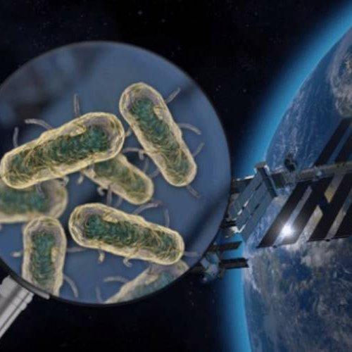 آیا میکروب ها از فضا به زمین می آیند؟