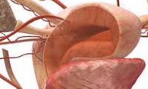 نشانگان پیش از قاعدگی و 5 توصیه به خانم ها نشانگان پیش از قاعدگی و 5 توصیه به خانم ها